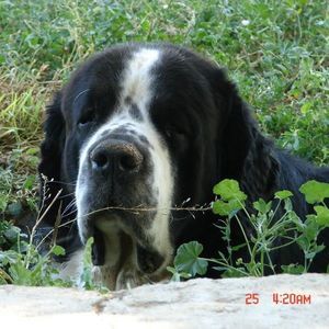 Meet your Posher, Apryl